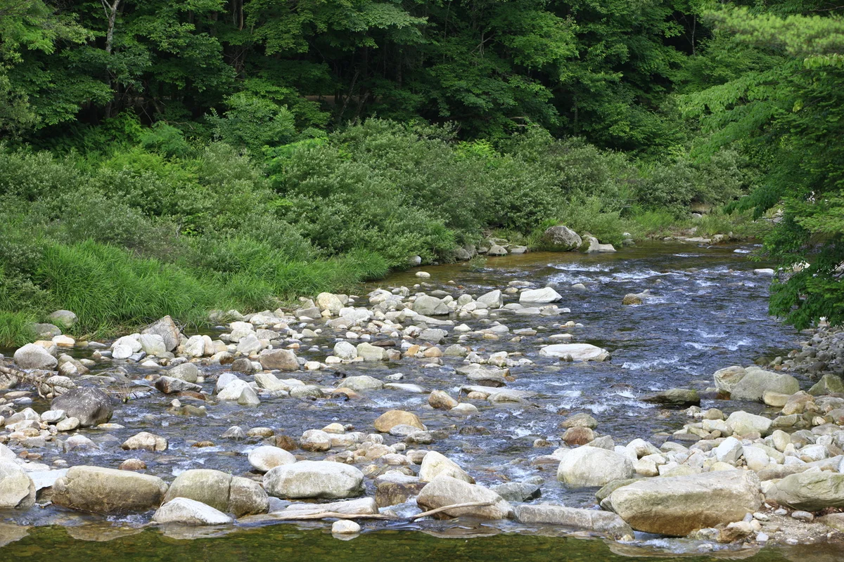 월정사 여행코스 (출처 : 한국관광공사)