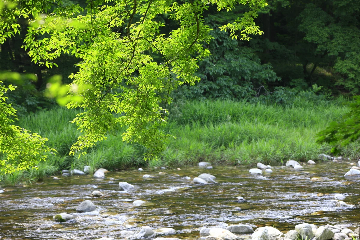 월정사 - 월정사 여행