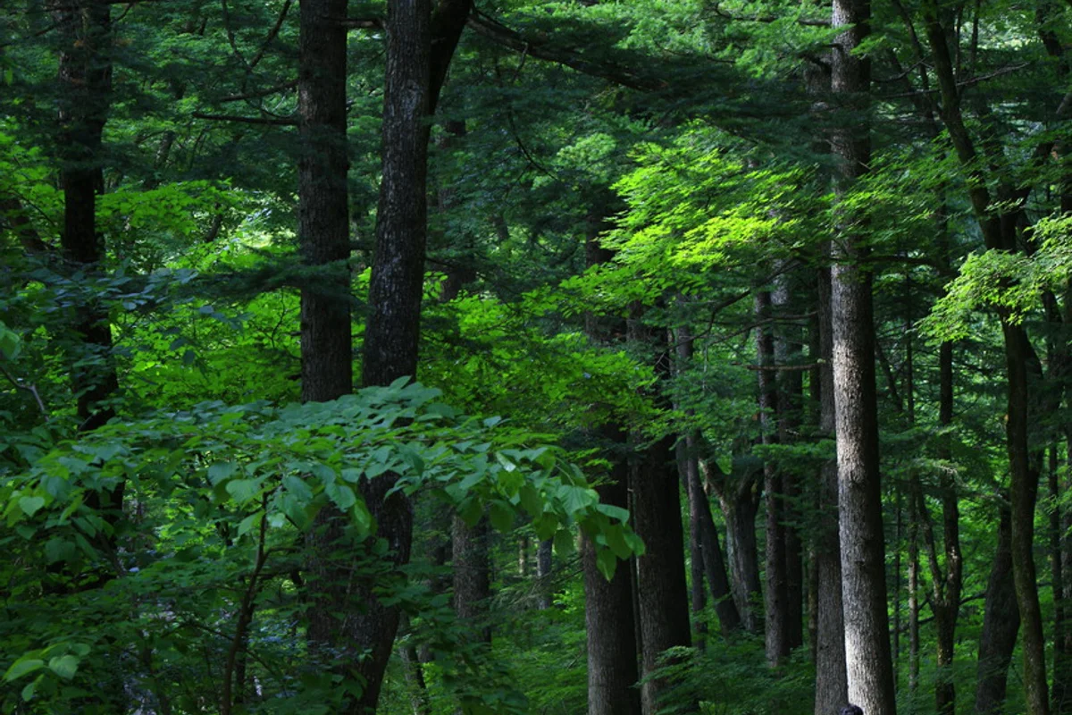 오대산 자연명상마을 옴뷔 - 월정사 여행
