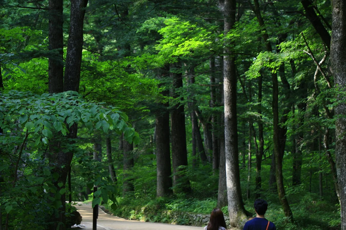 아트앤700 - 월정사 여행