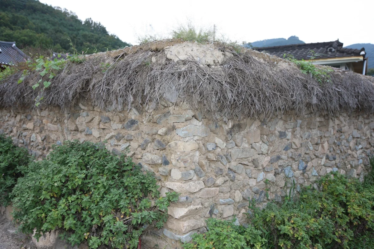 동구 캠핑장 (출처 : 한국관광공사)