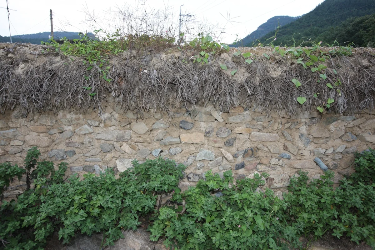 대왕암공원 캠핑장 - 동구캠핑 여행