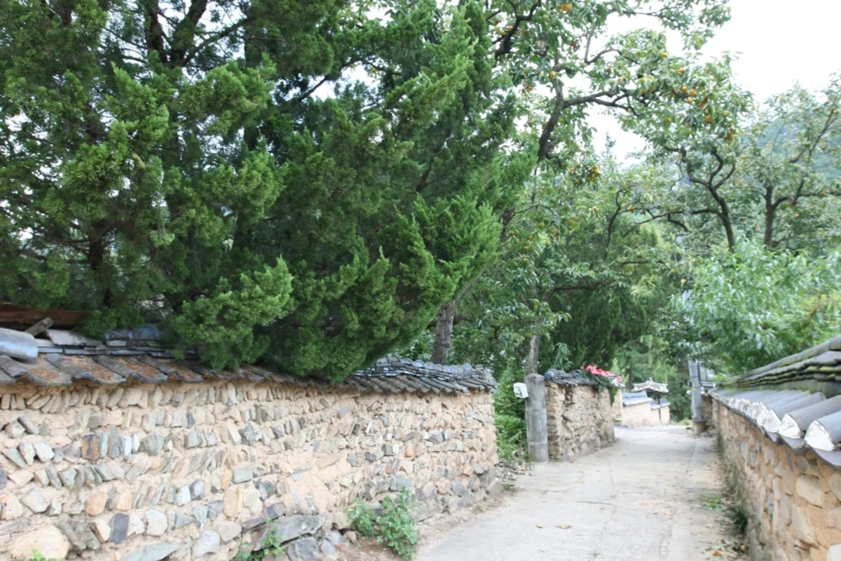 송현근린공원 - 동구캠핑 여행