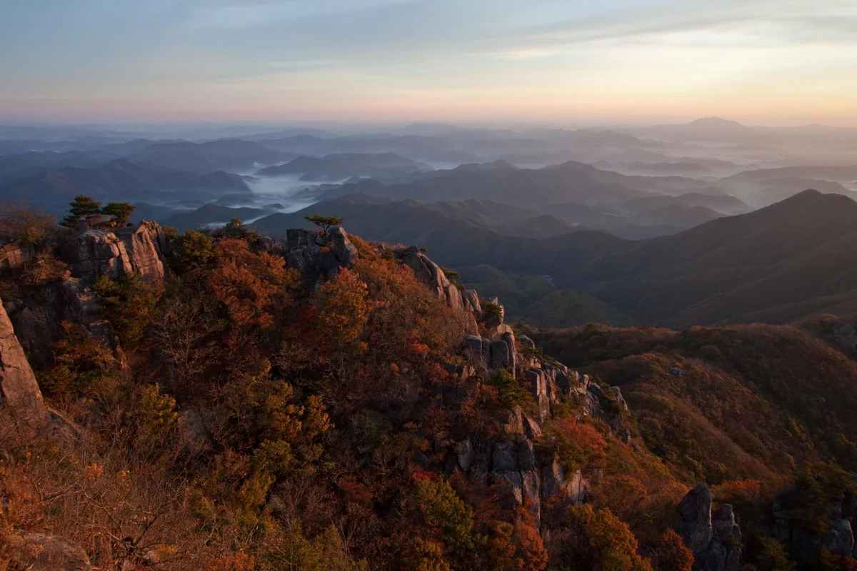둔산 나들이 대표 명소: 한밭수목원 - 대전 여행