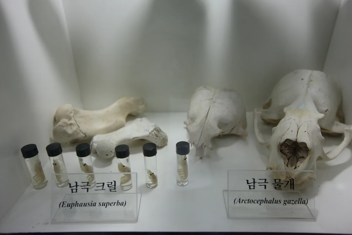 테이블에이 앤 우쥬 - 송도여행 여행