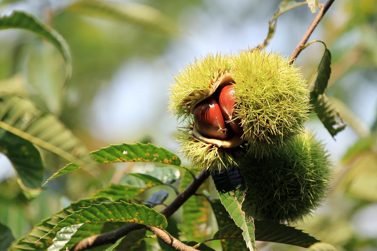 금정 캠핑 (출처 : 한국관광공사)