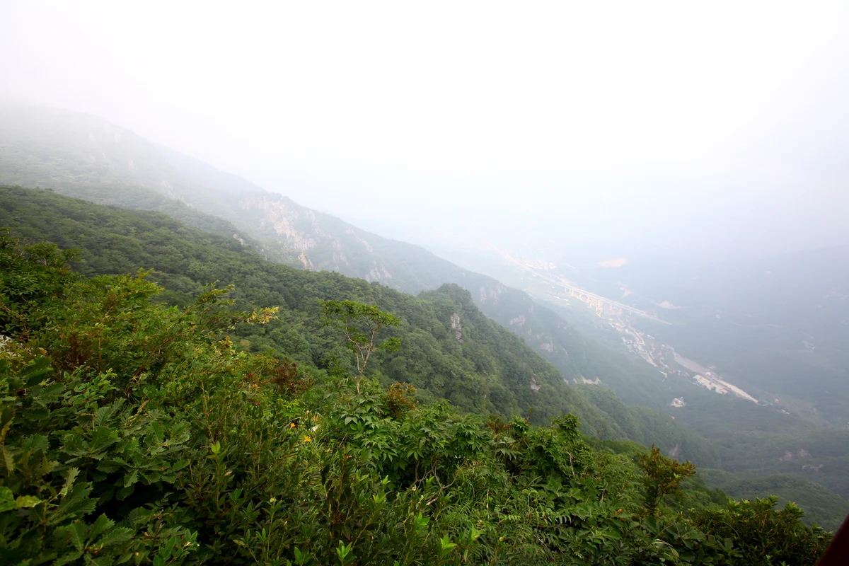 영남알프스 동백꽃 명소 (출처 : 한국관광공사)