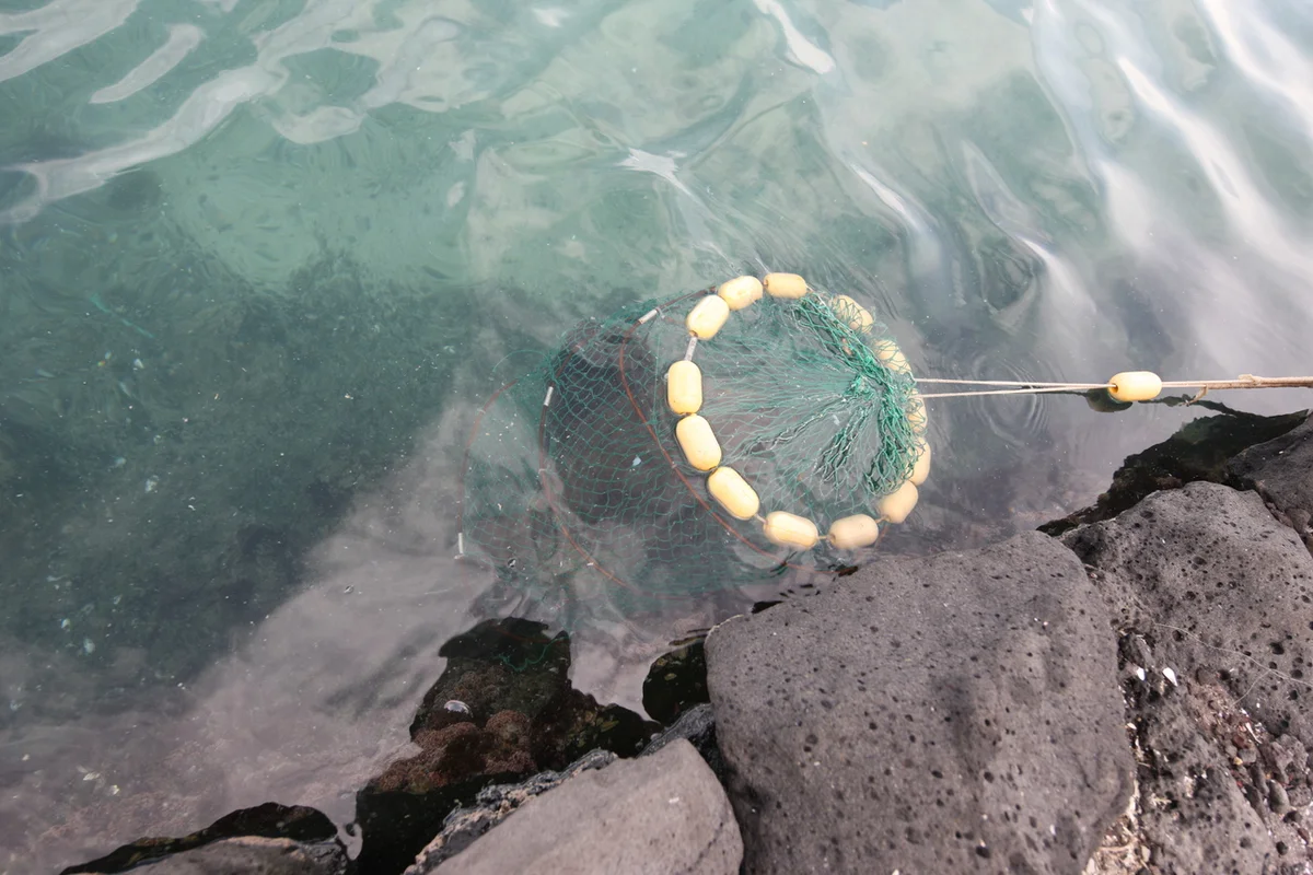 구월로데오광장 - 구월동 여행