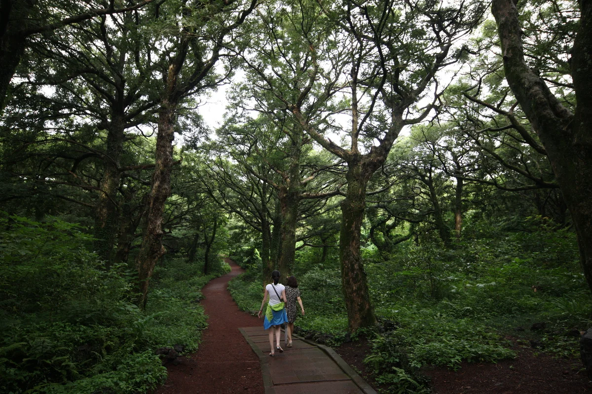 돗오름 - 제주도여행 여행