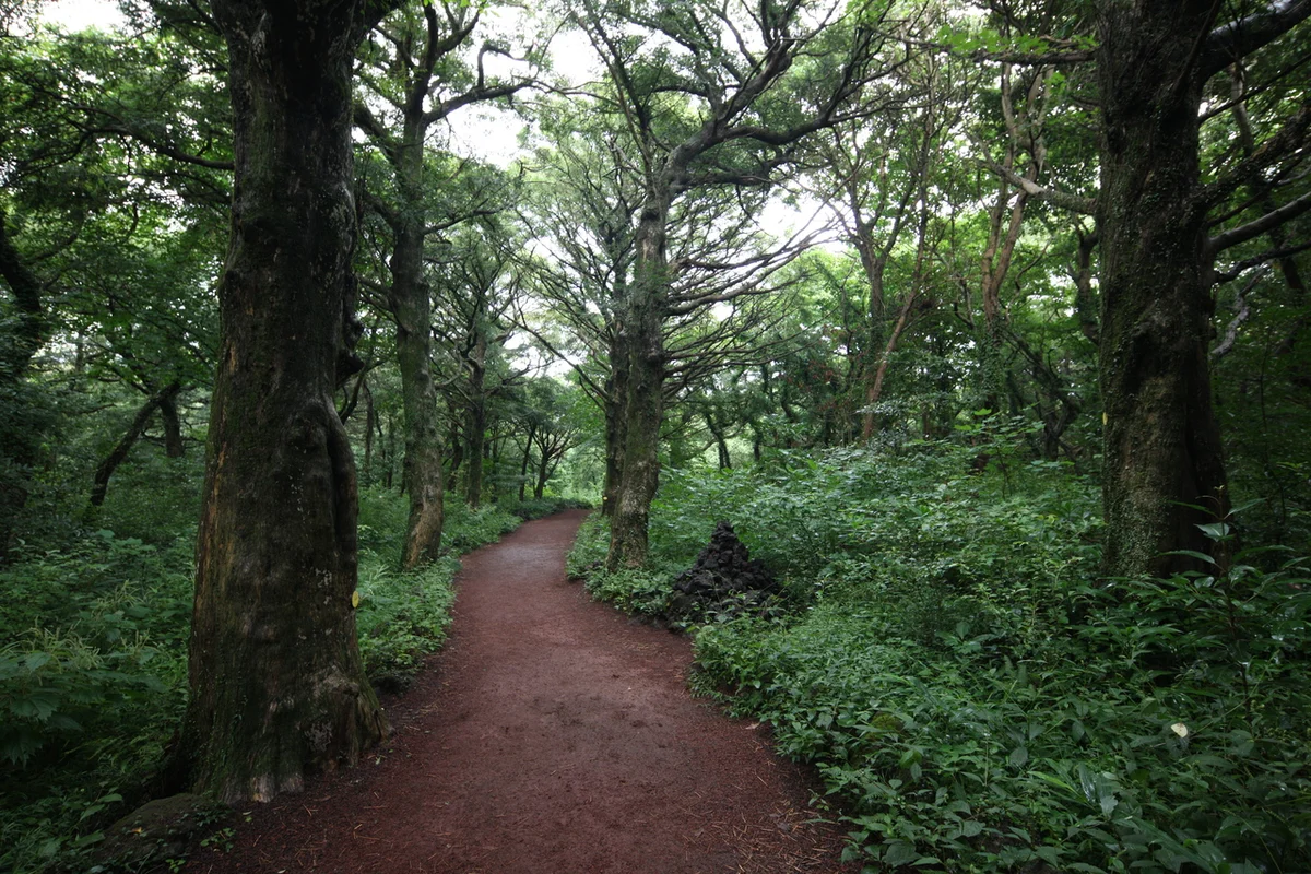 라이더스팜 - 제주도여행 여행