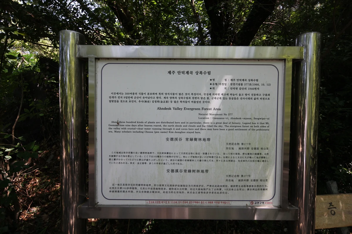 수달캠핑 - 안덕야경 여행