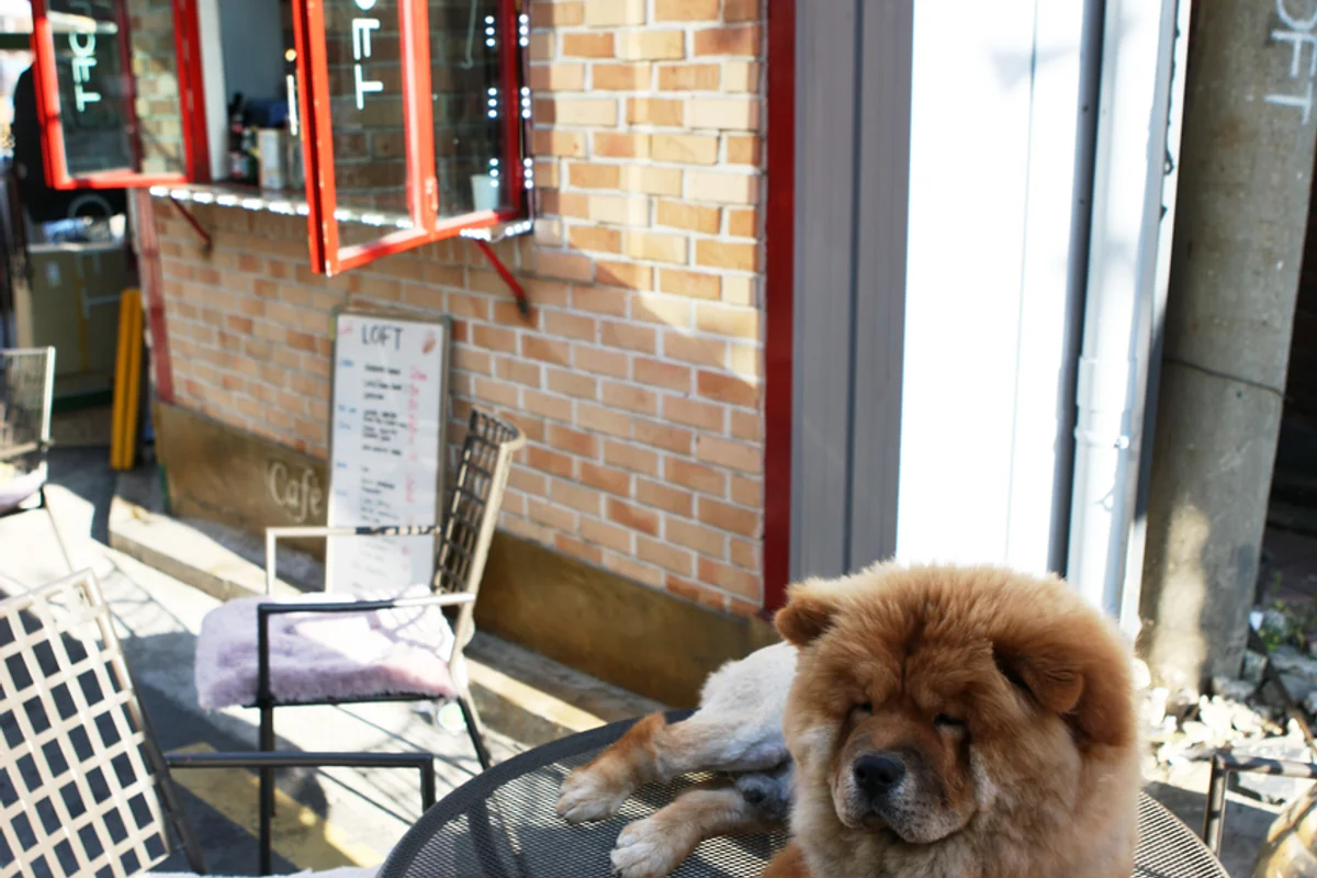 이태원 야경 명소 (출처 : 한국관광공사)