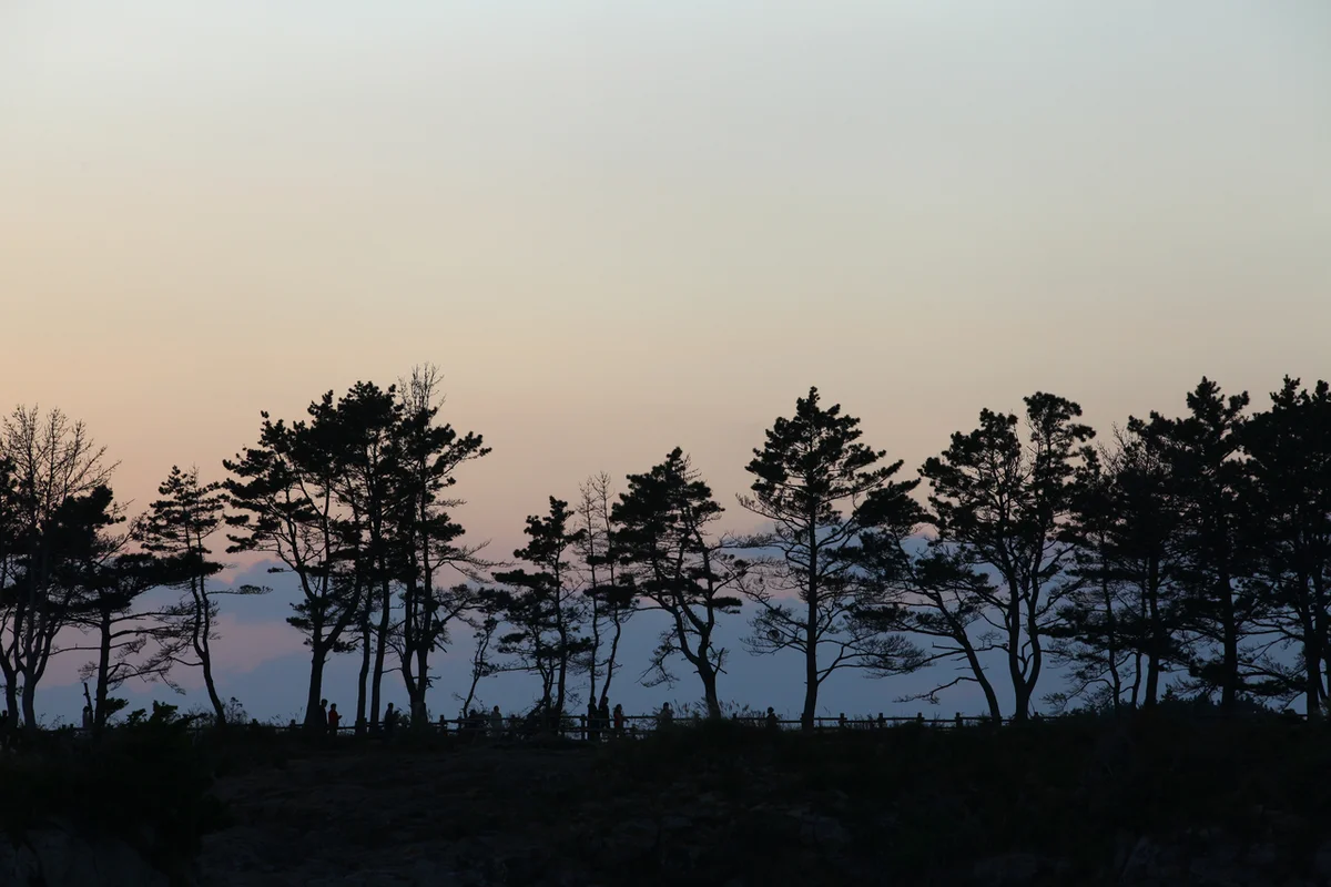 제주올레길 7코스 - 서귀포트레킹 여행