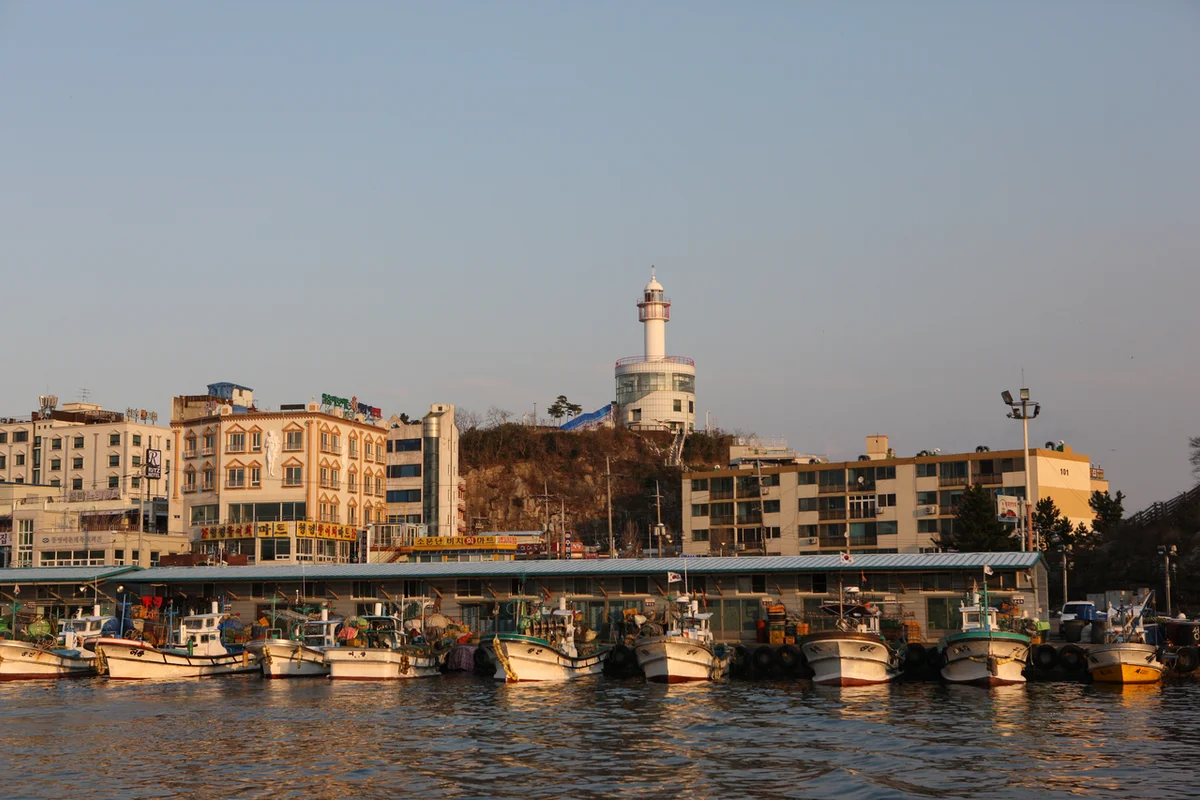 속초등대 - 속초중앙시장 여행