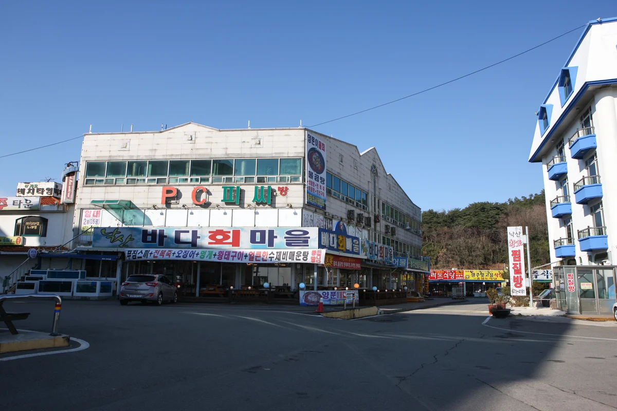 인구항 - 양양서피비치 여행