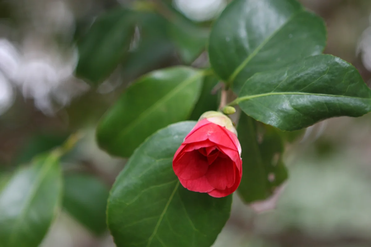 여수밤바다 풀빌라 (출처 : 한국관광공사)