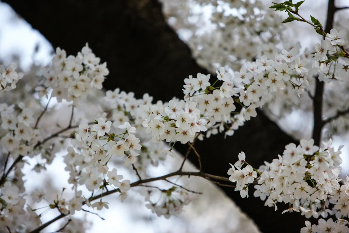 부천자연생태공원 - 부천여행 여행