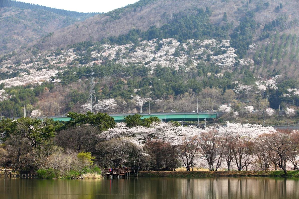 로봇랜드 - 창원여행 여행