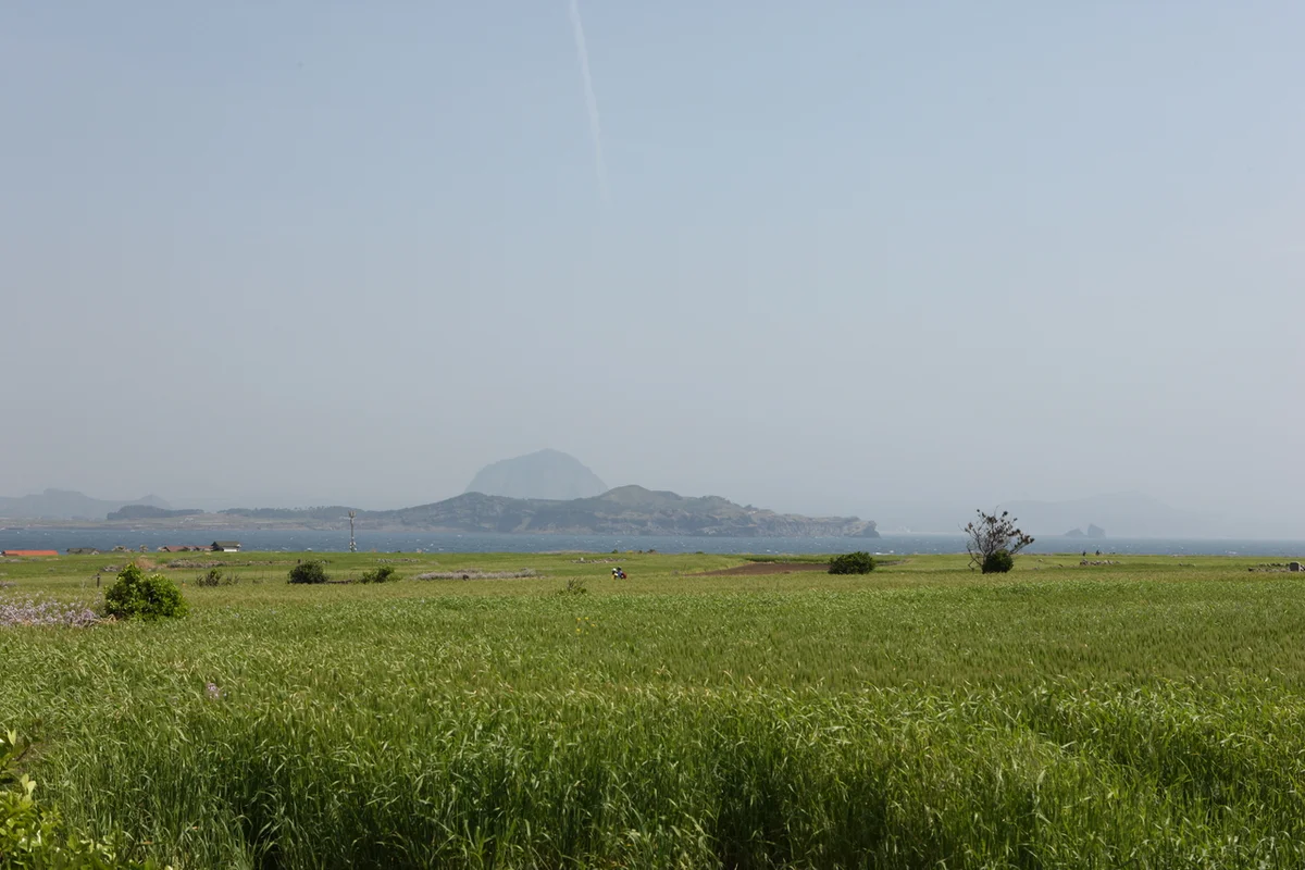 황새울공원 - 판교여행 여행