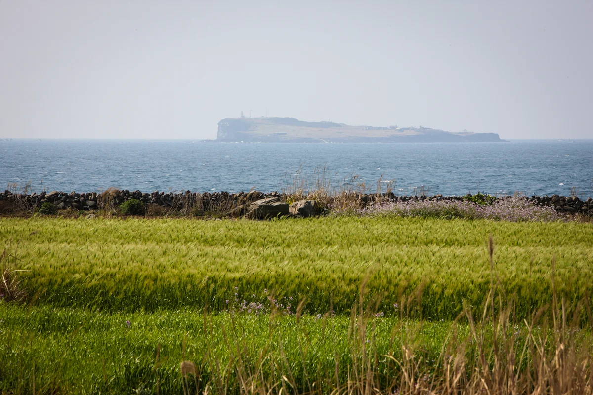 백현동카페문화거리 - 판교여행 여행