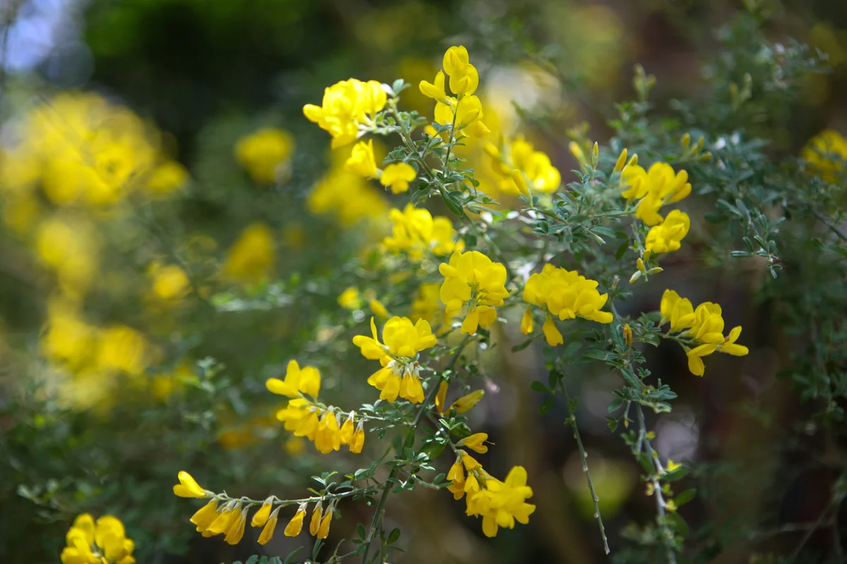 완도수목원 - 완도등산 여행