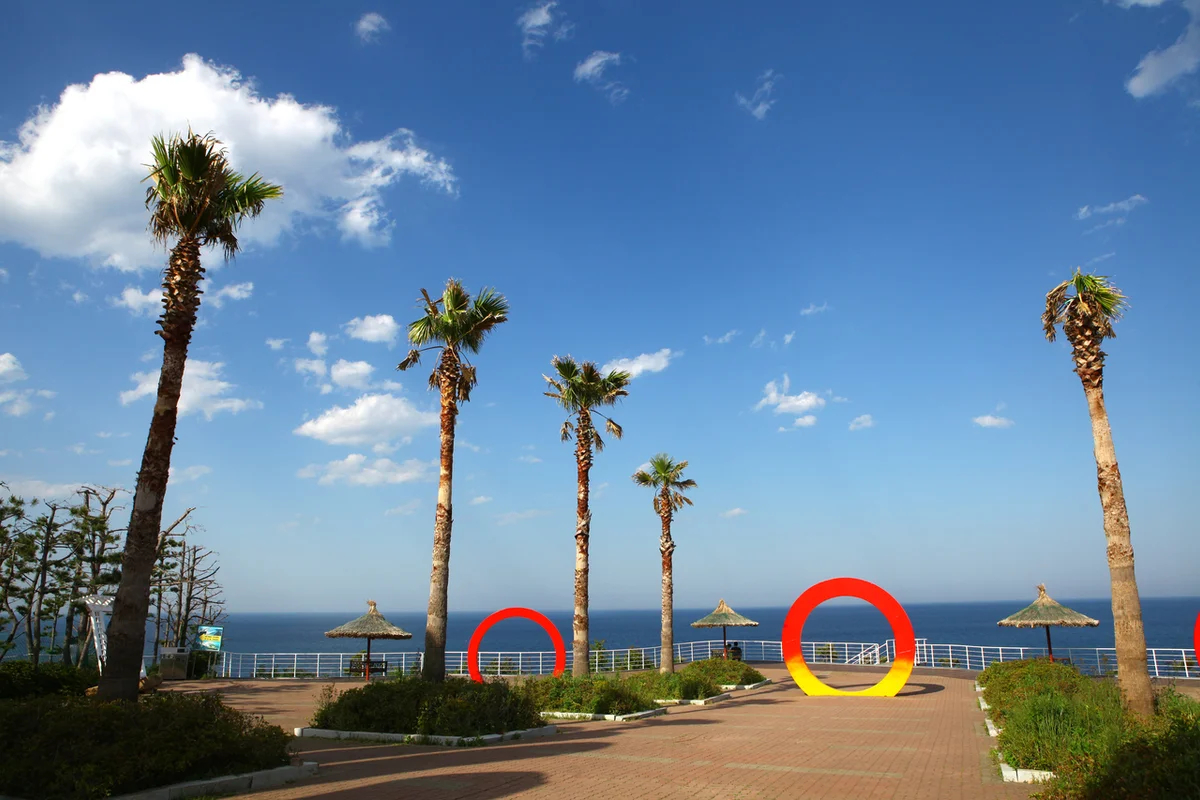 정동진 숨은 명소: 강릉 심곡마을 - 정동진여행 여행