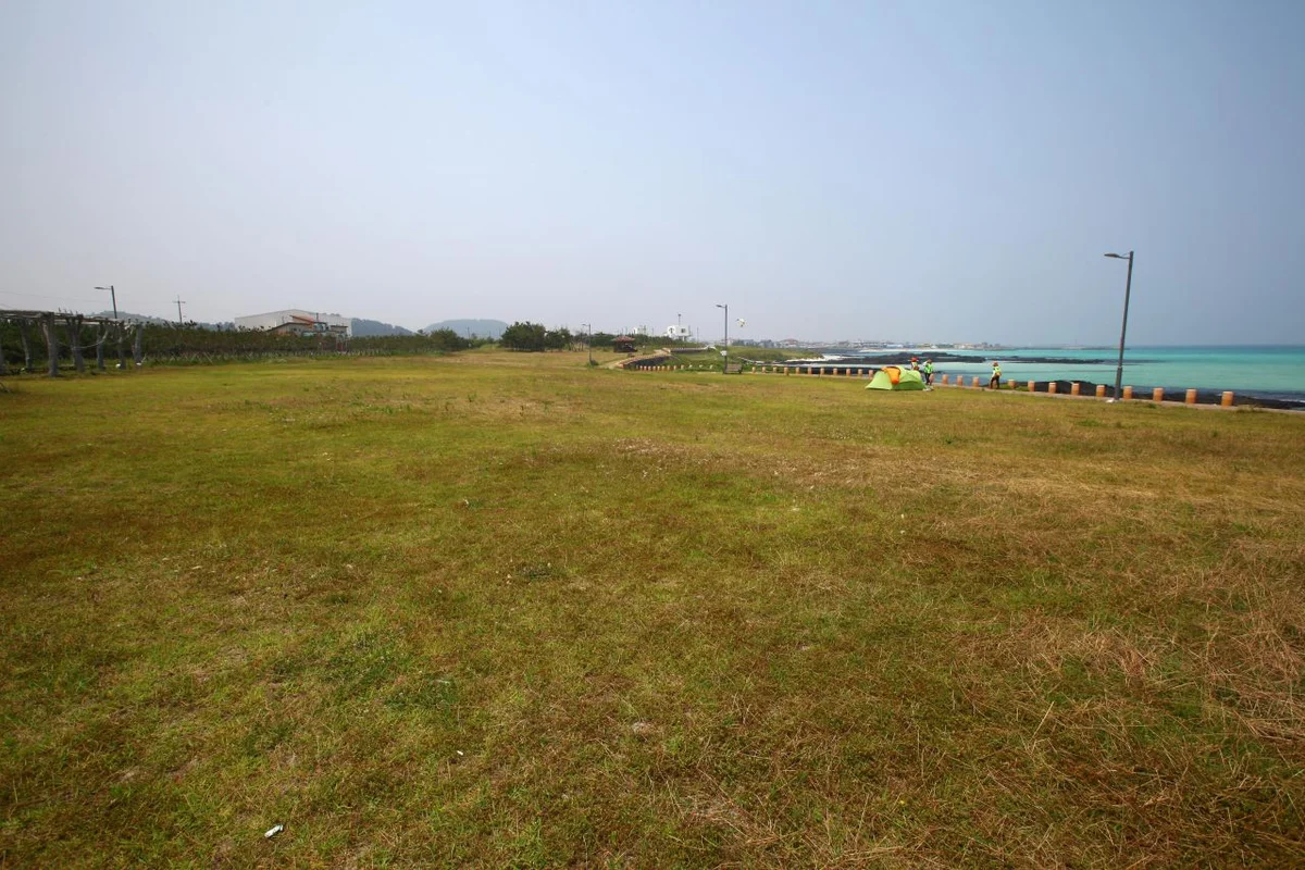 김녕해수욕장 - 김녕반려견동반 여행