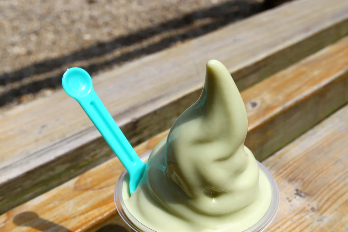 2026 보성다향대축제 (입장료 무료 축제장) - 보성여행 여행