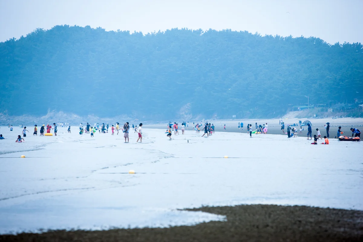 춘장대해수욕장 - 서천여행 여행