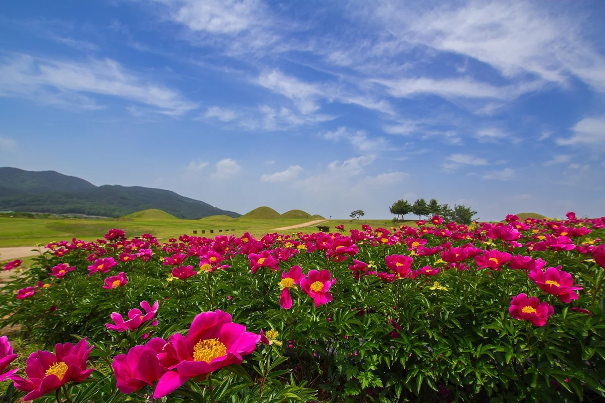 의성 산책 (출처 : 한국관광공사)