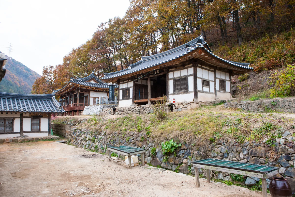 킴스마운틴커피클래스 - 청송여행 여행