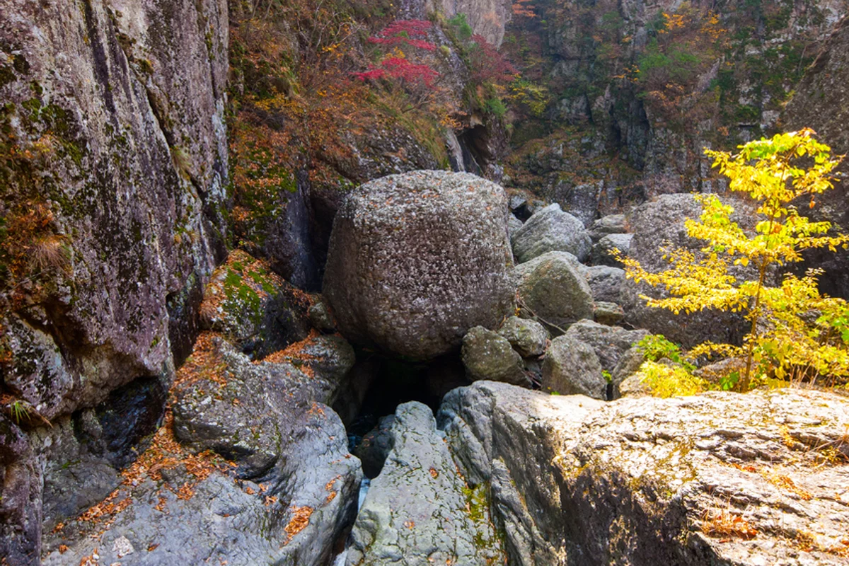 소노벨청송 솔샘온천 - 청송여행 여행