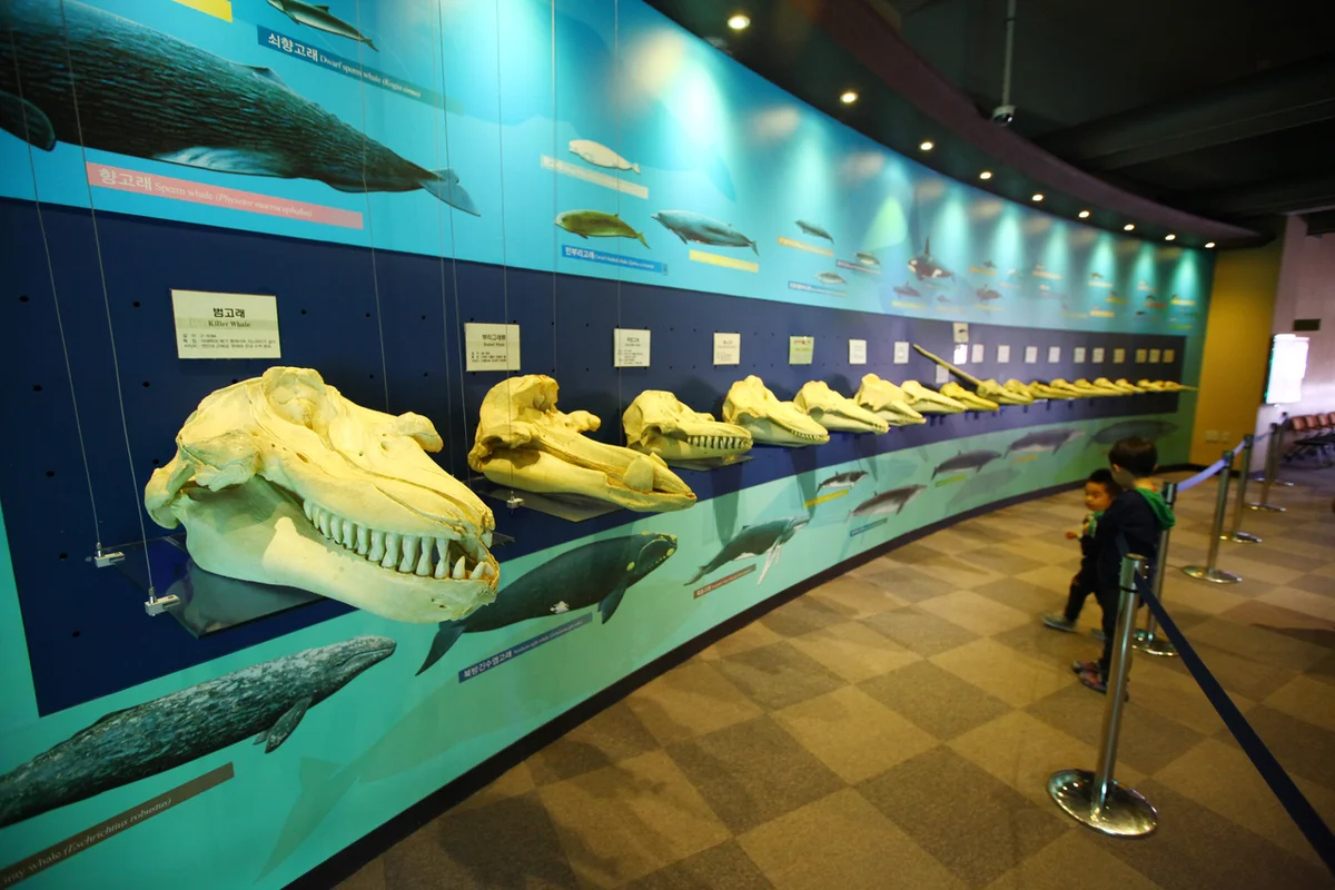 울산박물관 - 간절곶 여행