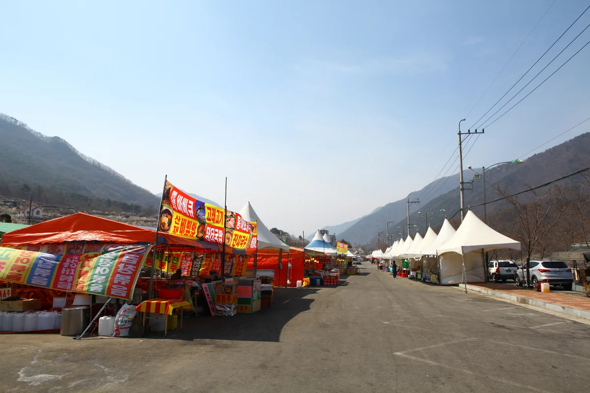 캠프포레 - 양산여행 여행