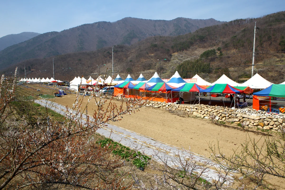 캠핑배내 - 양산여행 여행