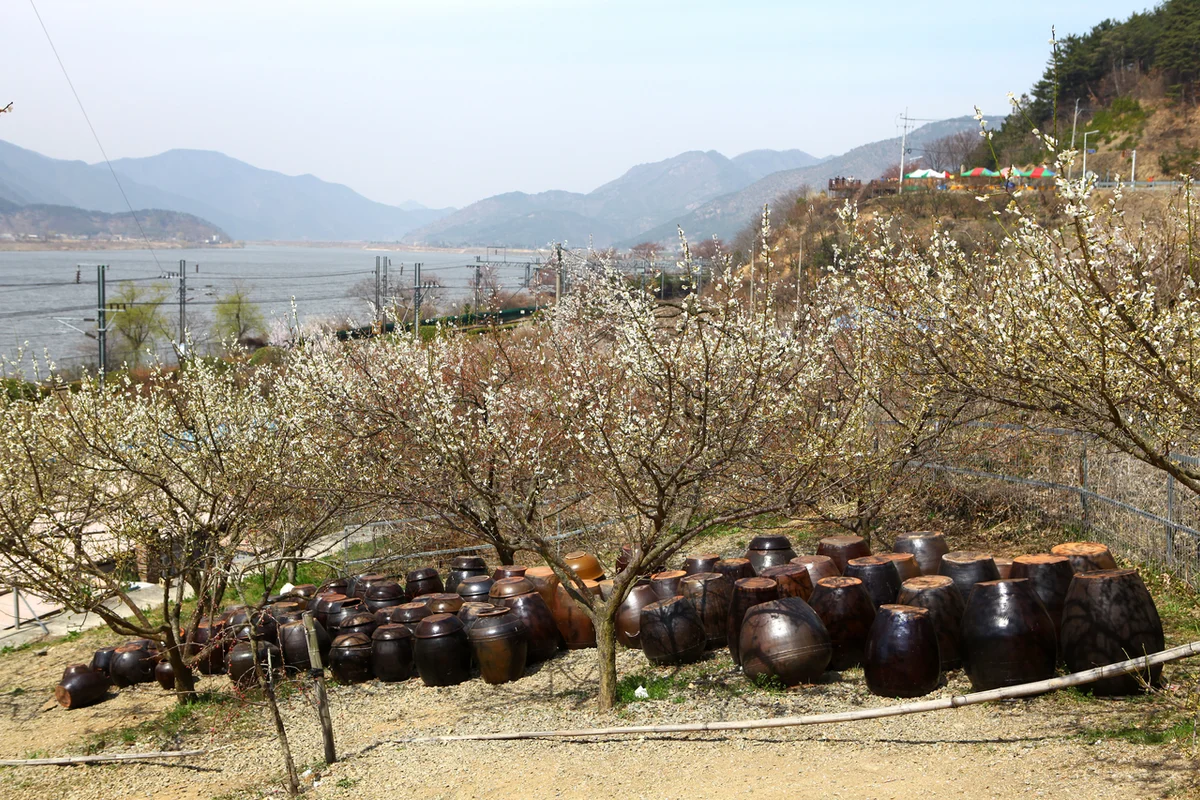 양산 캠핑장 (출처 : 한국관광공사)