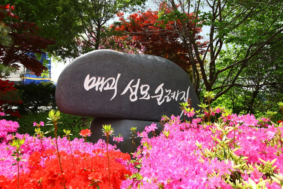 곡성 가볼만한 곳 (출처 : 한국관광공사)