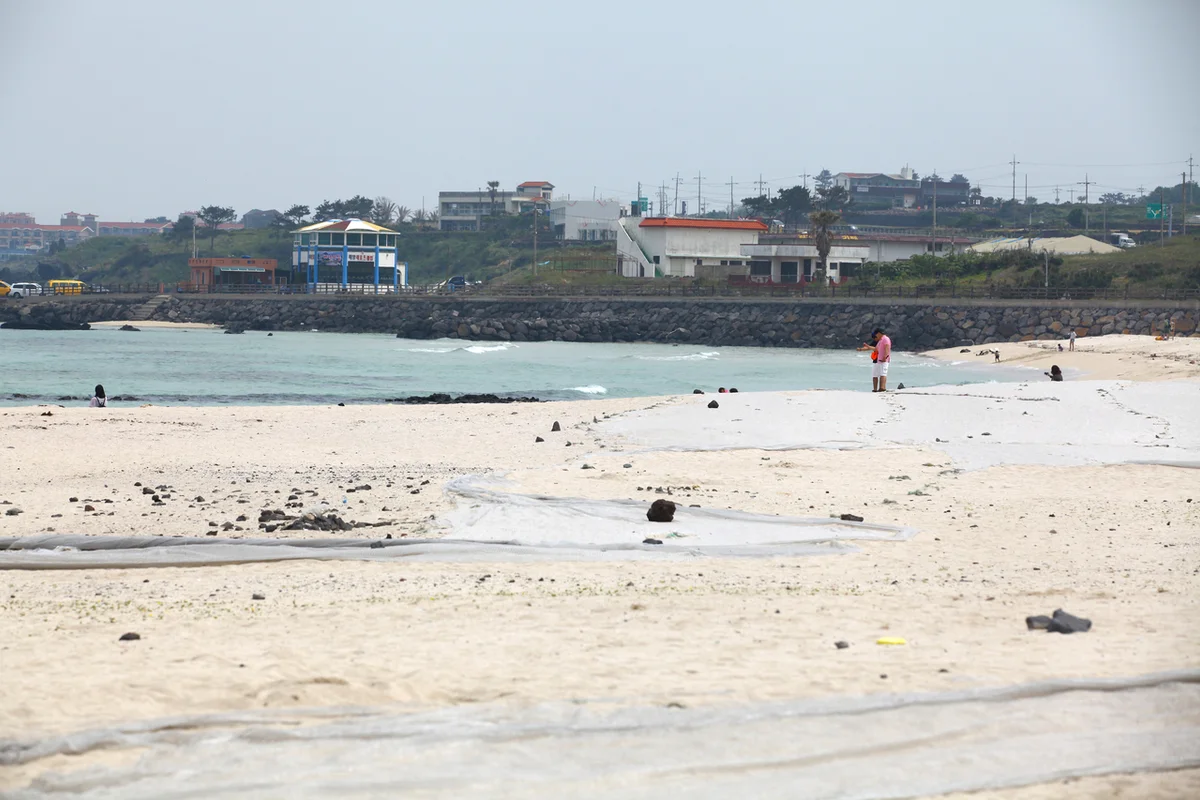 곽지해수욕장: 곽지 주차 편한 곳, 봄날의 에메랄드빛 풍경 - 곽지주차 여행