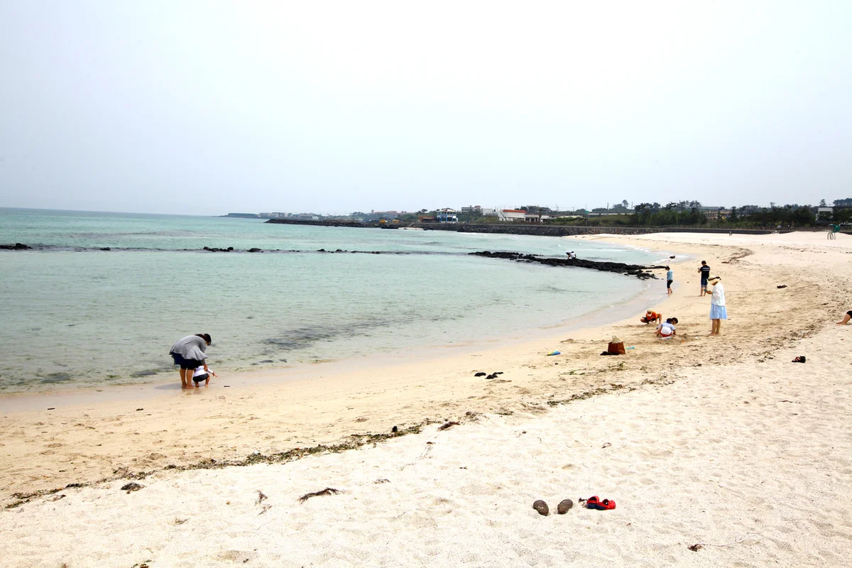 제주도 서핑 체험: 곽지 바다 위에서 즐기는 짜릿함 - 곽지주차 여행