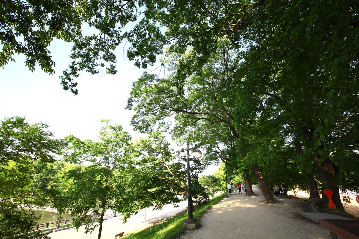 파리공원 - 양천 전통시장 여행