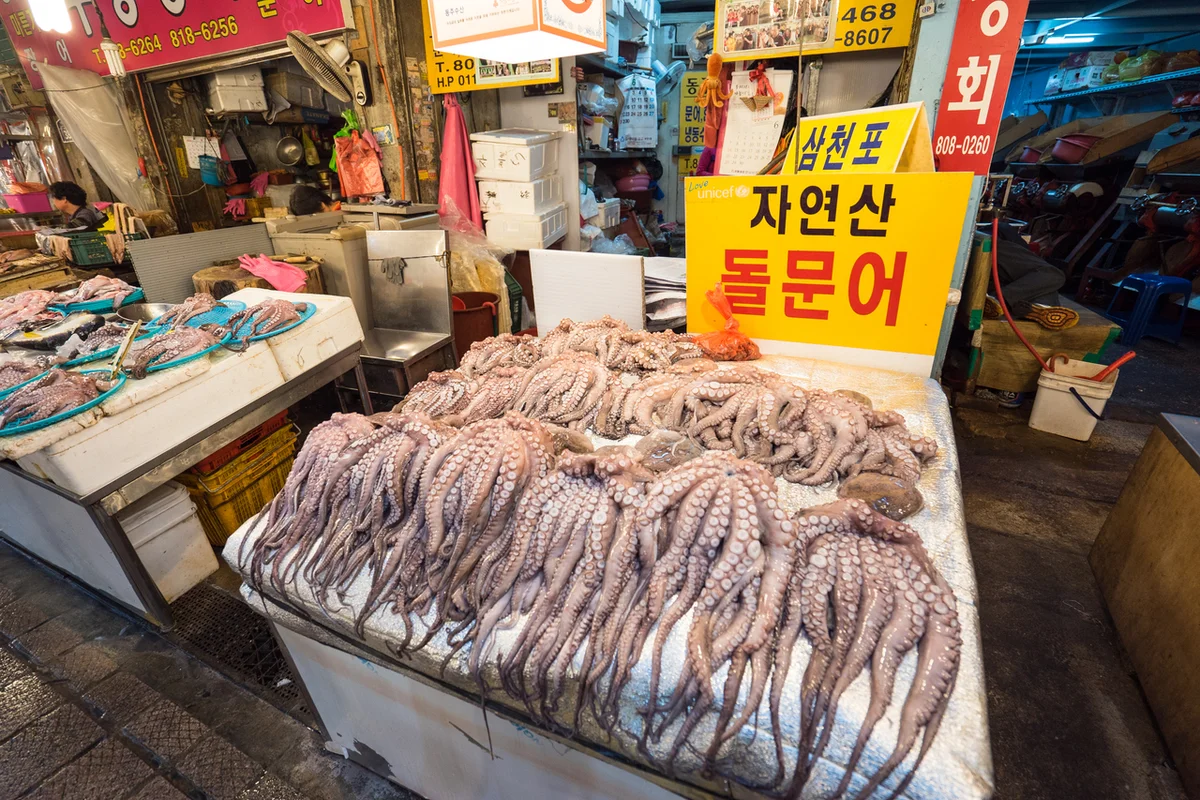 부전시장 1박2일 (출처 : 한국관광공사)