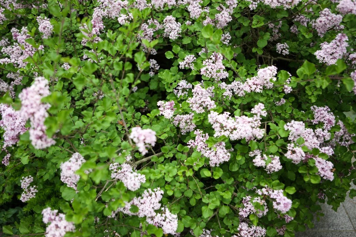 와우산 - 상수동 여행