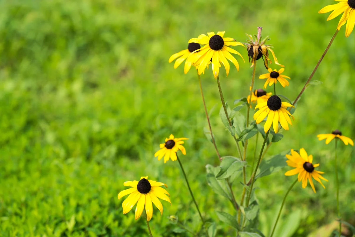 화천 테마파크 (출처 : 한국관광공사)