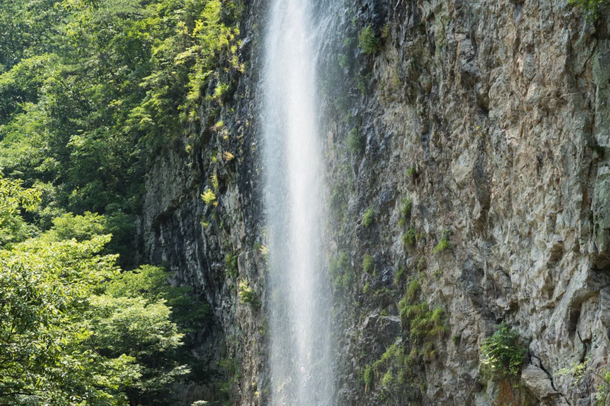 강천산군립공원 - 순창 벚꽃 여행