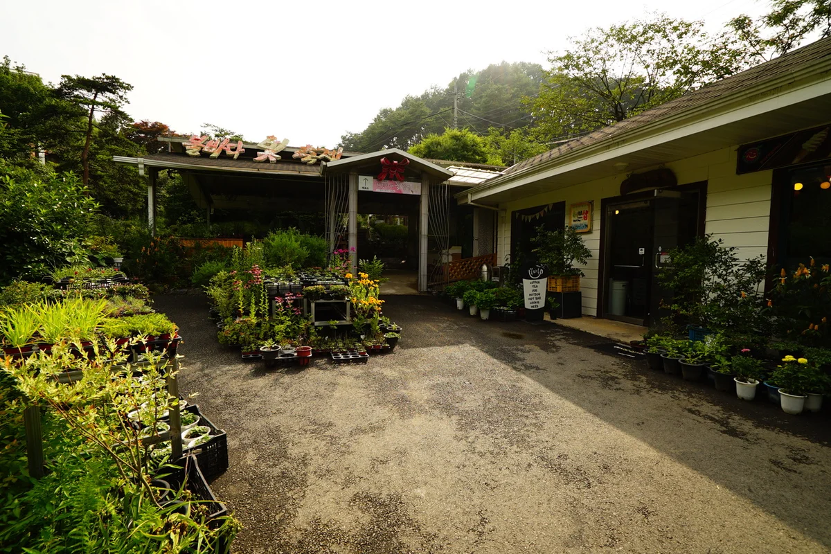 천장호출렁다리 - 청양 여행