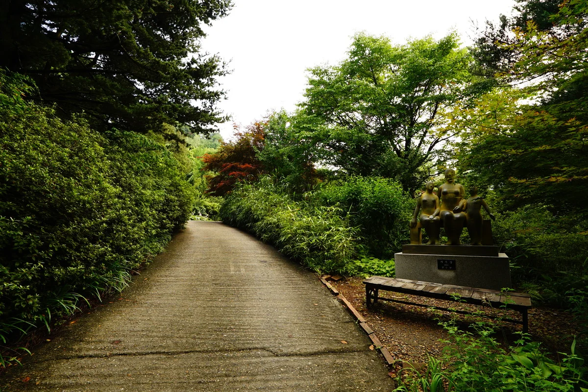 청양목재문화자연사체험관 - 청양 여행