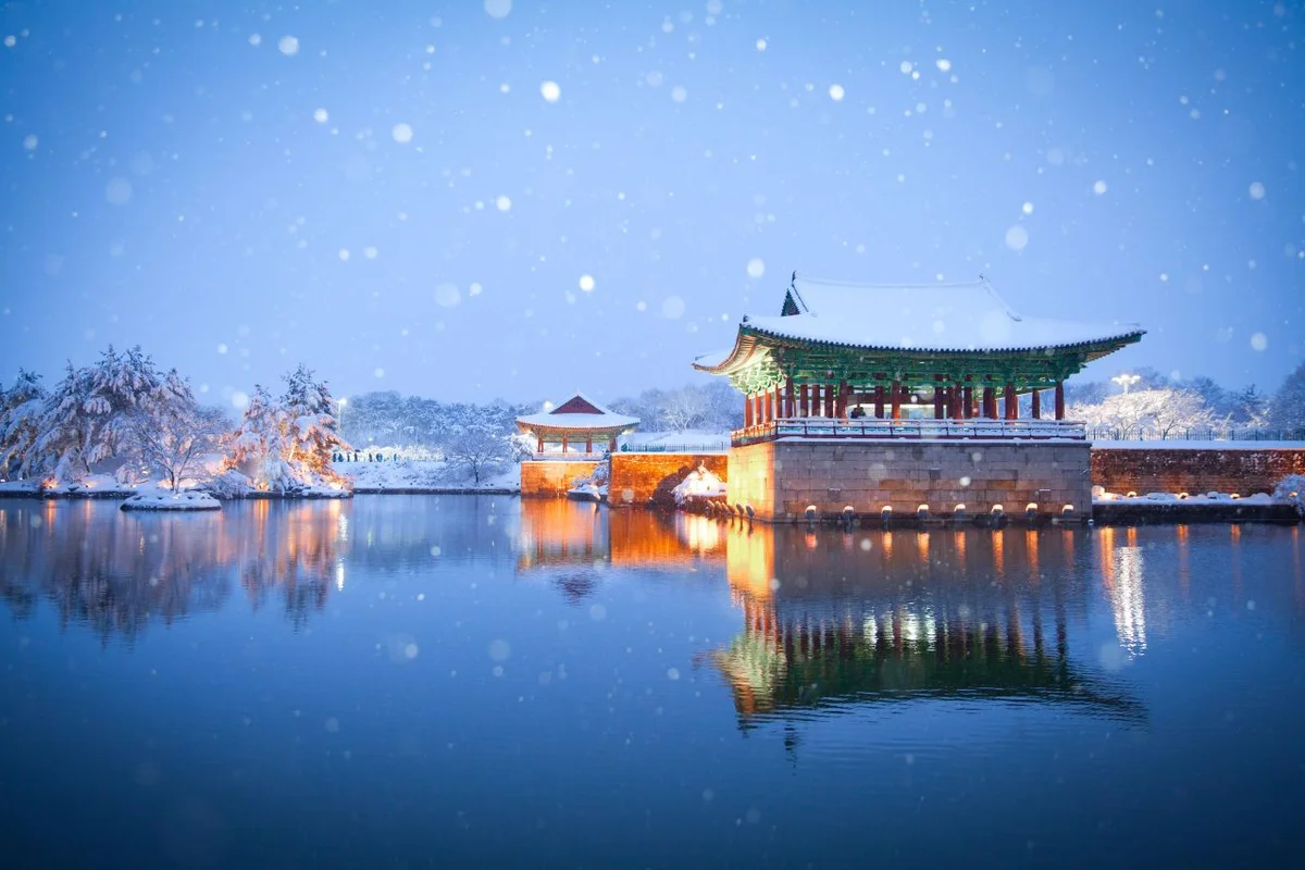 동궁과 월지 - 경주벚꽃 여행