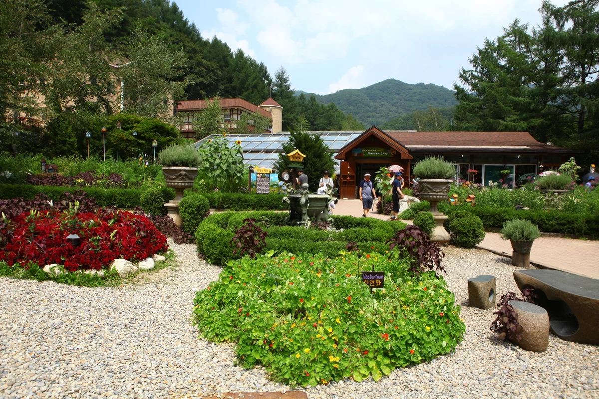 허브나라농원 - 평창벚꽃 여행