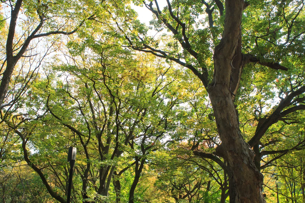 모악산 용천사 - 함평여행 여행