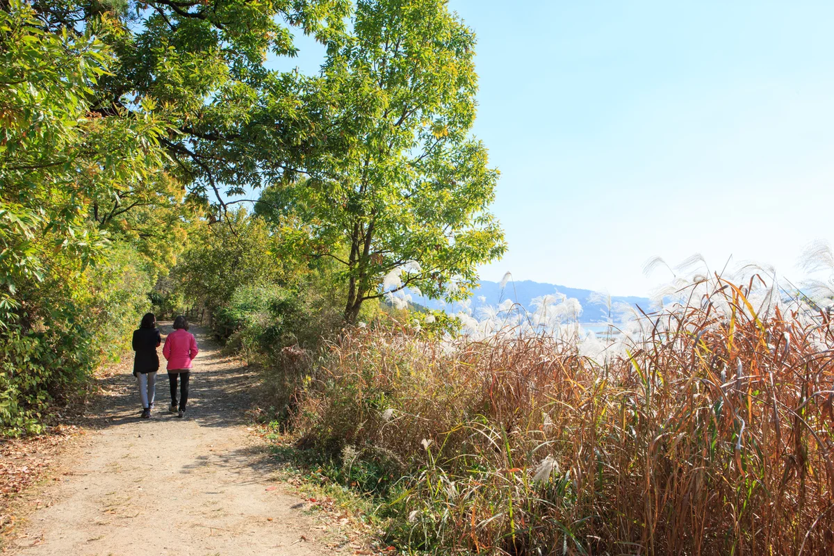 대청호 오백리길 - 대전여행 여행